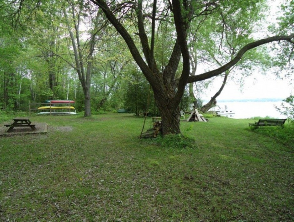 image46